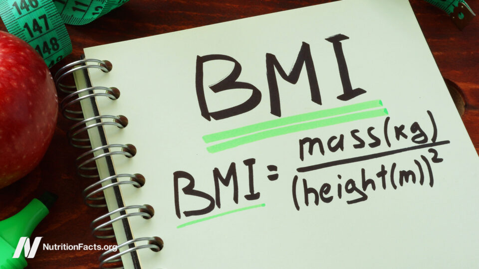 An Ideal BMI 