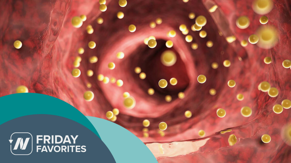 cholesterol going through the body