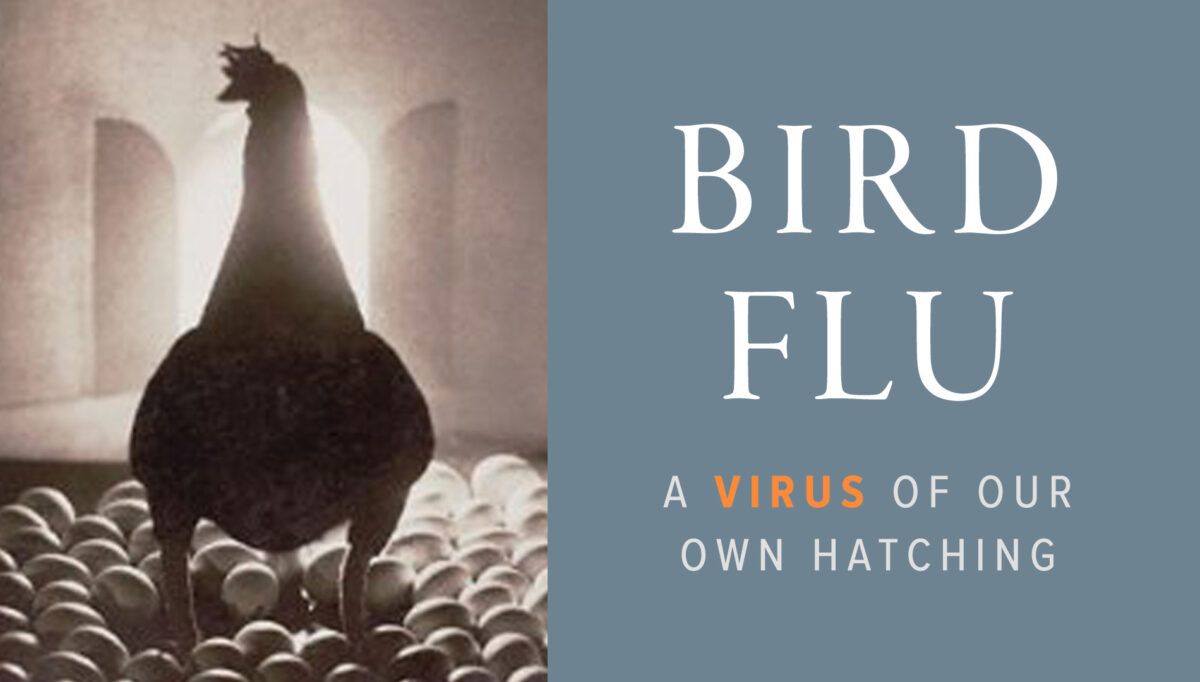 Bird Flu: A Virus of Our Own Hatching