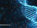 Digital drawing of DNA going through repair