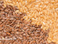 Split screen of brown and golden flaxseeds