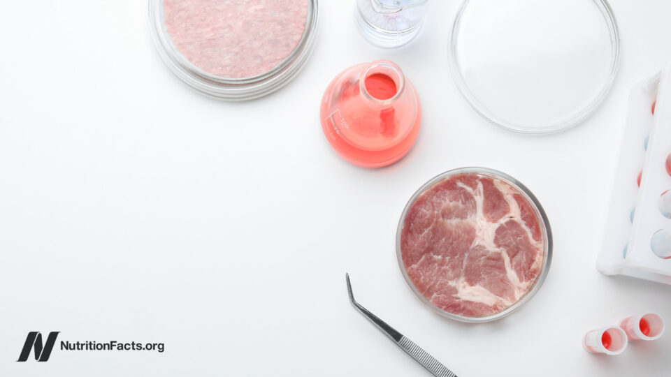 Chemical Safety, Cultivated Meat, and Our Health 