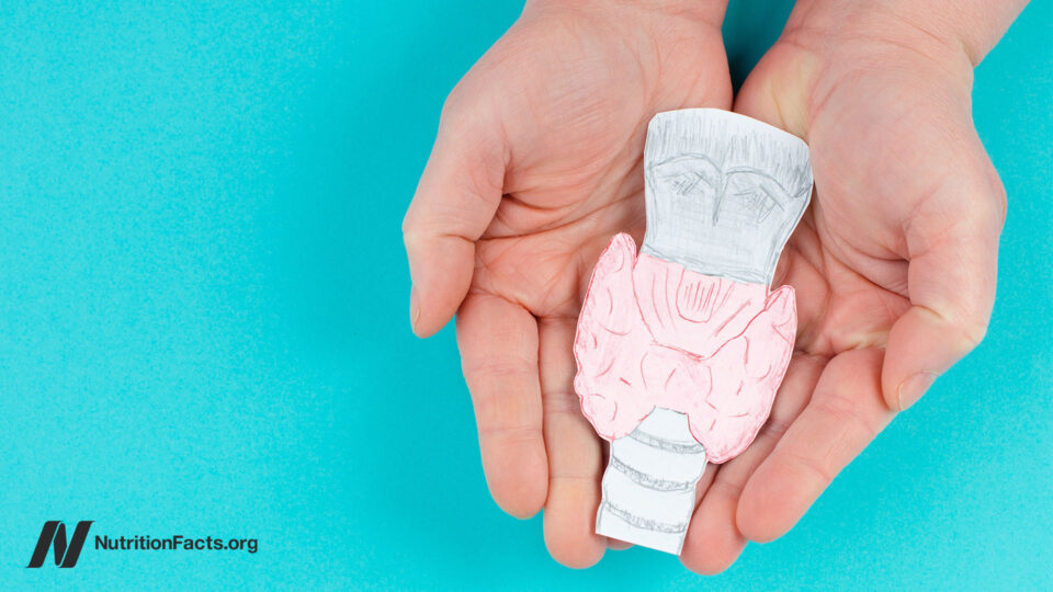 Treating Hashimoto’s Disease (Hypothyroidism) Naturally with Diet 