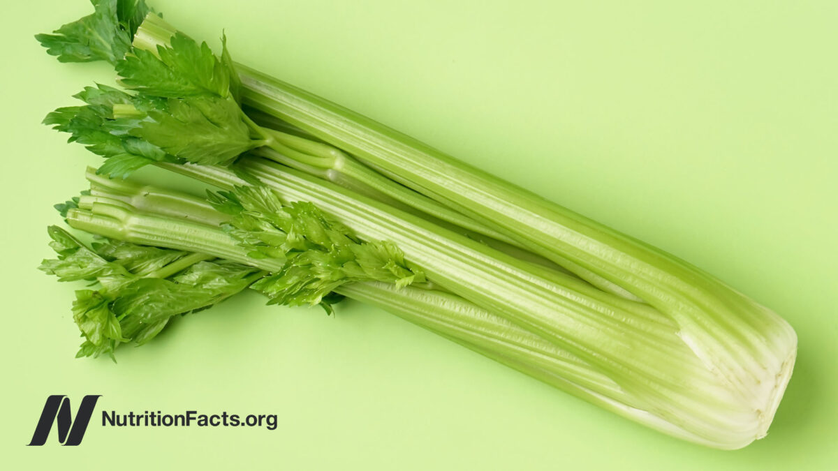 Full view of a celery stalk on a light green background