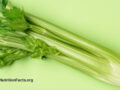 Full view of a celery stalk on a light green background