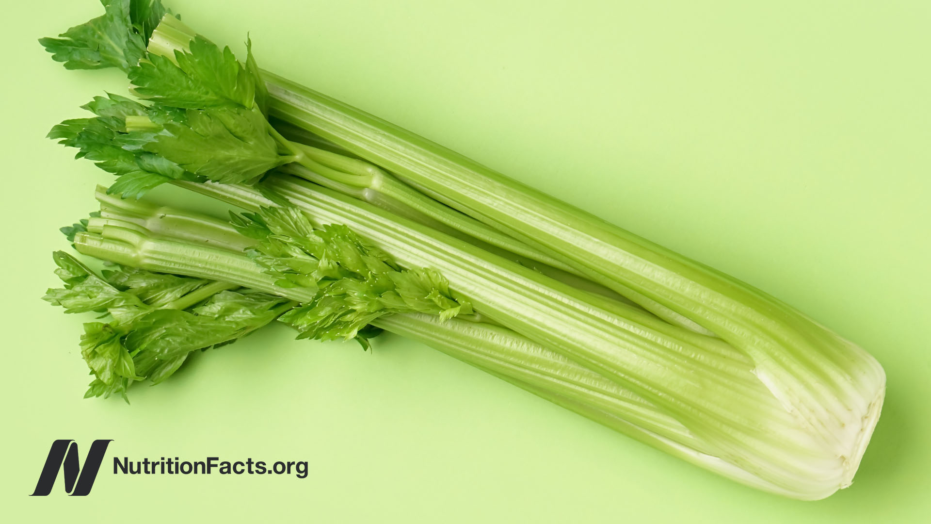 Full view of a celery stalk on a light green background