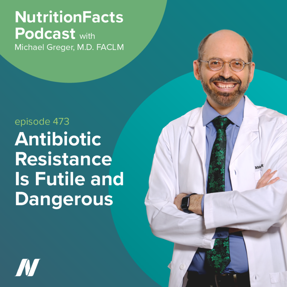 Antibiotic Resistance Is Futile and Dangerous