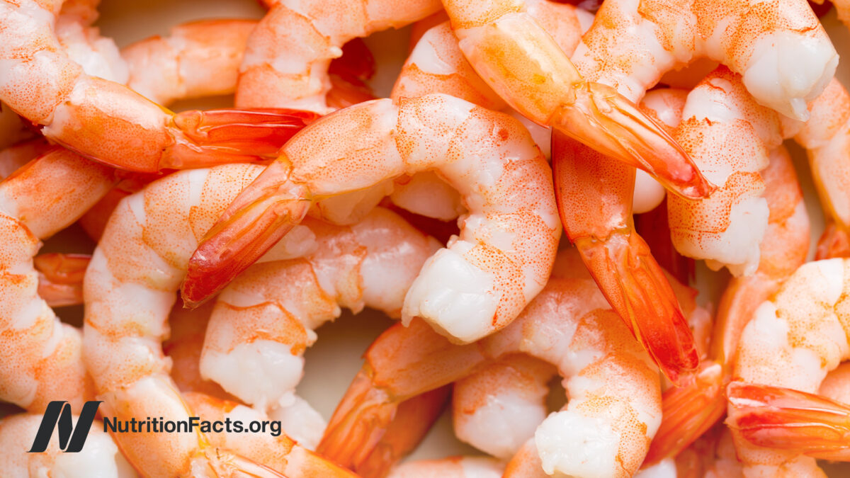 Closeup view of several cooked shrimps