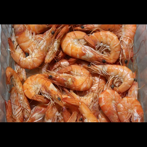 Shrimp