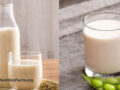 Oat milk and soy milk in glasses