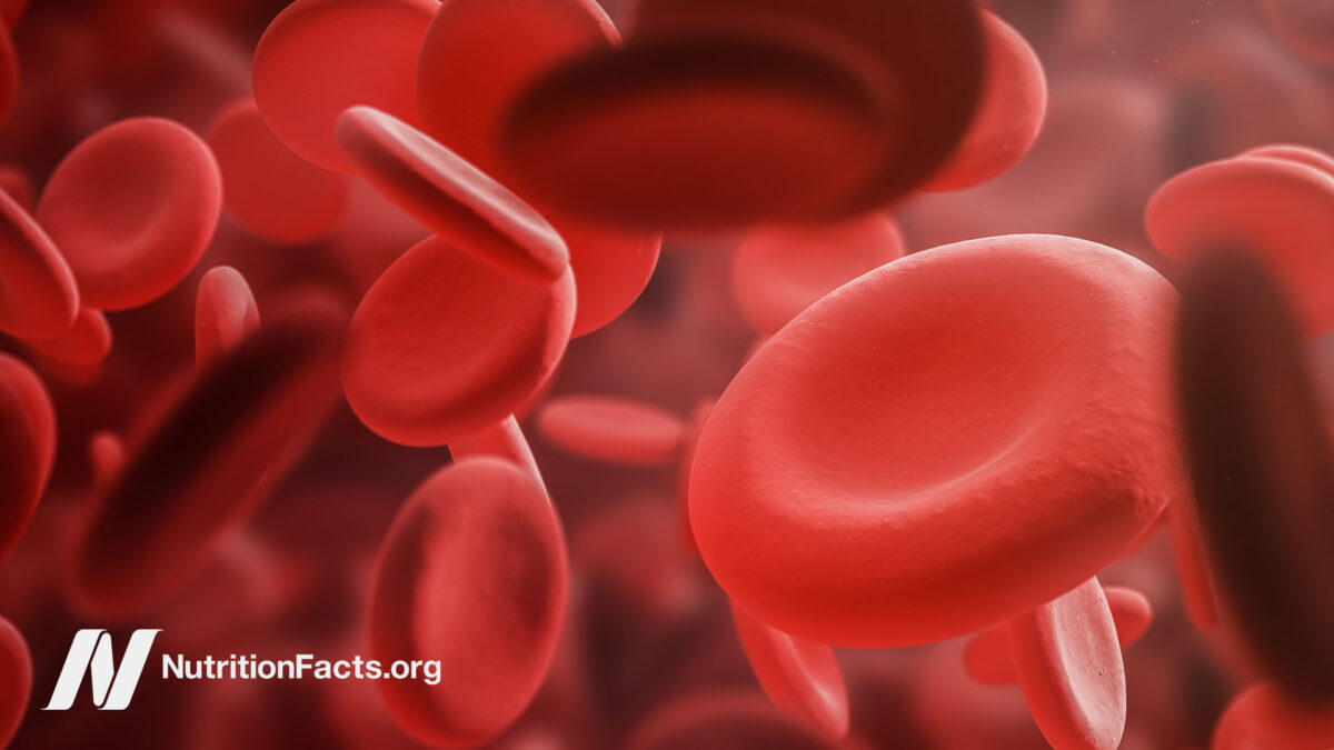 Digital drawing of red blood cells