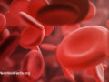Digital drawing of red blood cells