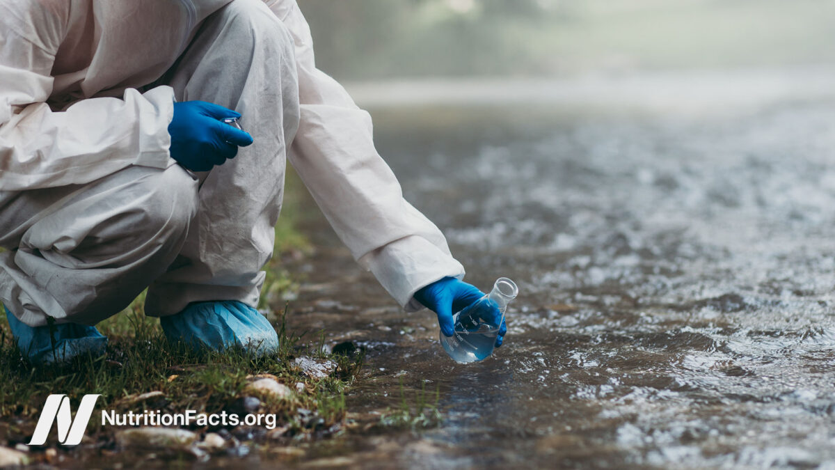 Scientist collecting a water sample from outdoors