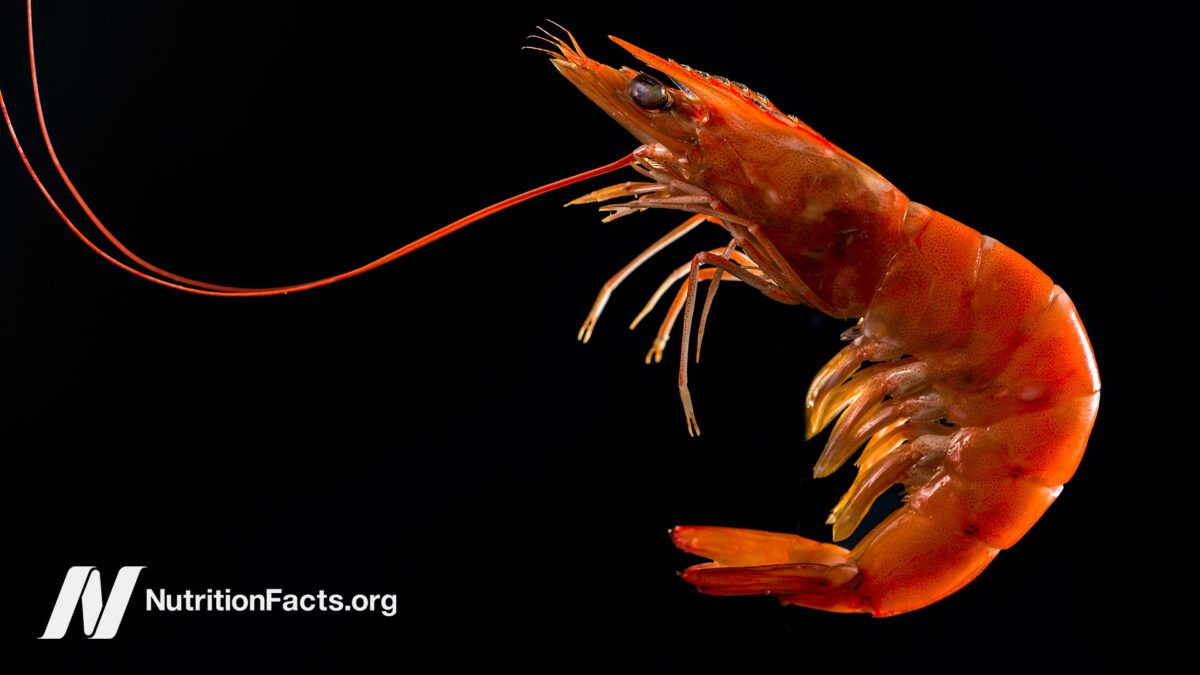 A shrimp on a black background