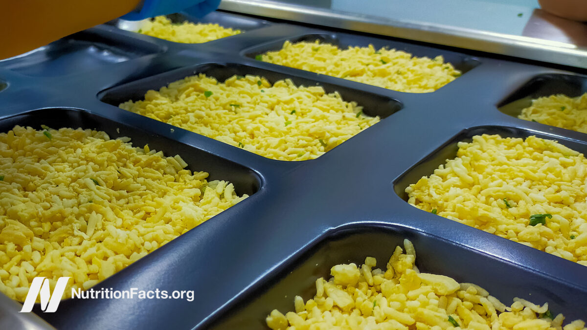Trays of prepared Mac and cheese before baking
